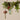 Maileg ´Tromme´ ornament 1 stk. - Stor/Mørk grøn