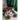 Madleys ´Finn´ nisse
