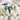 Essenza ´Hellea´ sengesæt - White
