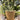 Ib Laursen spand 8 liter - Clay