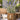 Ib Laursen ´Lavendel´ i potte