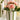 Ib Laursen ´Dahlia´ m/5 blomster i potte - Lyserød
