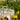 Ib Laursen pose m/flagranke m/15 flag - Hvid