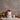 Haupt Lakrits ´Tomtejävlar´ 250 g