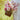 Bloomingville ´Chrysantemum´ stilk - Rosa