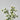 House Doctor ´Eryngium´ kunstig blomsterstilk - Hvid