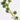 House Doctor ´Sedum´ kunstig blomsterstilk - Grøn
