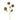 Madleys ´Kornblomst´ 1 stk - Large/Dark brown